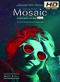 Mosaic 1×01 [720p]